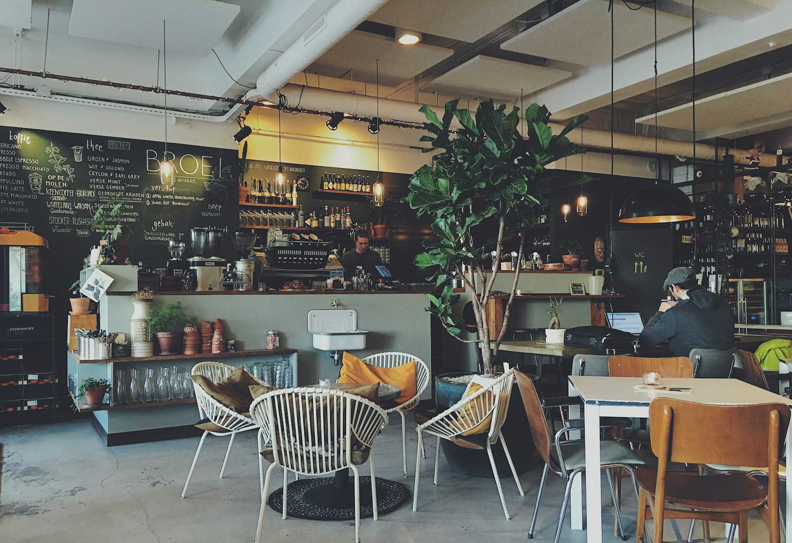 Lions Café background