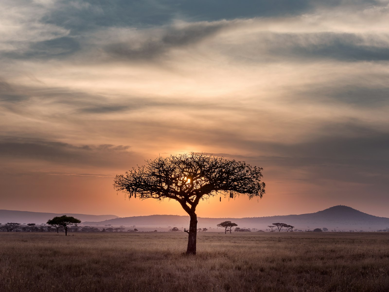 Tutoke Tours background